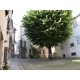 Properties for Sale_Townhouses_HOUSE FOR SALE IN THE HISTORIC CENTER OF FERMO restructured in the Italian brands in Le Marche_25